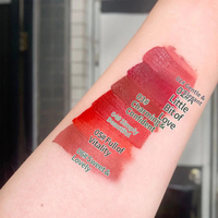 Mini rouge à lèvres velours à application douce, résistant au transfert, baume à lèvres mat pour fournisseur de maquillage