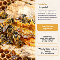 Compléments alimentaires à base de propolis d'abeille BEEHALL pour les importateurs, les marques et les distributeurs