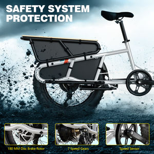Famille 48v 750w frein à disque vélo électrique  enfants avant près de la boîte famille longue queue électrique <span class=keywords><strong>Cargo</strong></span> Ebike - Product Image 6