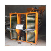Cage automatique pour cailles élevage ventes