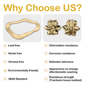 아연 합금 크롬 및 니켈 프리 패션 란제리 섹시 브라 클라스프 로하스 스트랩 버클 속옷 및 비키니용 - Product Image 6