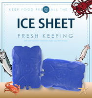 Blocs de glace multifonctionnels en HDPE, couleur et taille personnalisables, qualité alimentaire, idéaux pour la pêche, le barbecue, les pique-niques et la cryothérapie