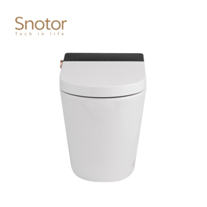 Úc phổ biến SAA Watermark CE cấp giấy chứng nhận thông minh nhà vệ sinh một mảnh với giấu Tank - Product Image 2