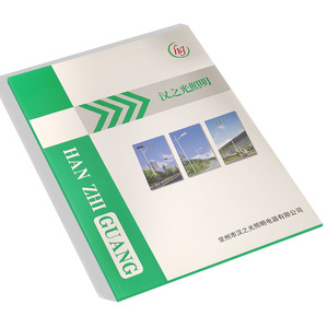 Farolas Solares Han Zhi Guang LED DC 24V Mono Si, Solución de Iluminación Vial, Folleto de Muestra - Product Image 1