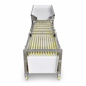 เครื่องคัดขนาดผลไม้ประสิทธิภาพสูงแบบหลายช่องสำหรับส้ม - Product Image 1