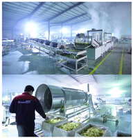 Volautomatische Frites Aardappelsticks Maker Lange Aardappelchipmachine Nieuwe Friteuse Voor Fruitgroente Lijn Shengkang Shengshi