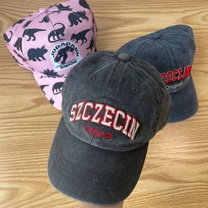 Gorra de Béisbol de Algodón Ajustable de Alta Calidad, Diseño Personalizado para Adultos, Impermeable, Deportiva, con Logotipo Bordado con Patrón de Frutas - Product Image 1
