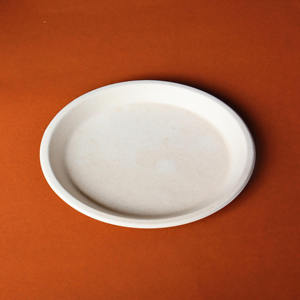 Assiette Ronde Jetable en Bagasse Naturelle de 11 Pouces, Écologique, en Fibre de Canne à Sucre Compostable, Vaisselle pour la Restauration en Gros - Product Image 2