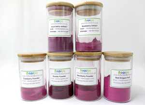 Großhandels preis Maqui Frucht pulver Wasser lösliches reines natürliches OEM Maqui Beeren pulver - Product Image 2