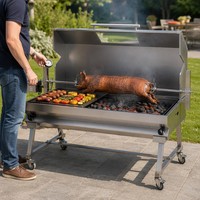 Gril rotissoire double brûleur au charbon et au gaz, rôtissoire à double combustible pour agneau et cochon entiers, machine à souvla en inox