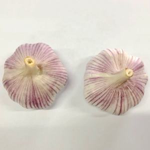 <span class=keywords><strong>Ajo</strong></span> Blanco Normal Fresco <span class=keywords><strong>de</strong></span> China, 10 kg/20 kg, Caja <span class=keywords><strong>de</strong></span> Exportación, Cumple con las Normas GAP, <span class=keywords><strong>Ajo</strong></span> Alho - Product Image 2