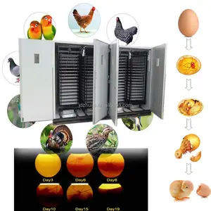 Landwirtschaft mit industriellem Eierinkubator 22528 Hühnereier /automatischer Hühnerinkubator Brutstallmaschine