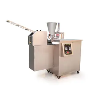 Ticari kantinler wonton ravioli katlanır maker İsrail tatlı için tam otomatik Wonton hamur yapma makinesi