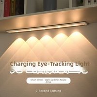 Veilleuse LED à détection corporelle, blanc chaud, 5V, ultra-mince, rechargeable, à intensité variable, portable, minimaliste, contemporaine, mini pour cave à vin