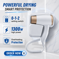 Sèche-cheveux d'hôtel de vente chaude avec prise de support de sèche-linge et protection directe contre la surchauffe d'usine Usb