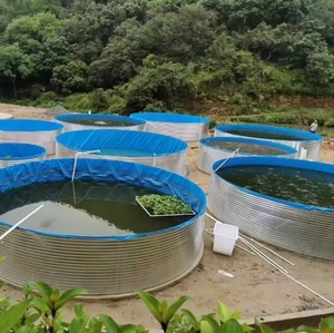 Bassin d'élevage commercial de tilapias, structure en acier galvanisé, revêtement en PVC, bassin rond pour aquaculture intensive en recirculation (<span class=keywords><strong>RAS</strong></span>) - Product Image 6