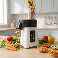 Robot culinaire multifonctionnel électrique : Hachoir, trancheuse, râpe et coupe-légumes pour salades - Vente en gros
