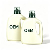 Lessive liquide antibactérienne zéro déchet à marque privée, parfum jasmin, emballage portable sans plastique pour vêtements
