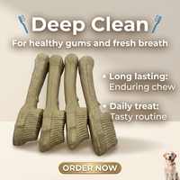 Bâtonnet à mâcher pour chiens, brosse à dents, friandises à mâcher, récompense d'entraînement, sans sucre, naturelles, pour l'haleine fraîche des animaux de compagnie