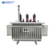 Transformateur de distribution triphasé immergé dans l'huile Pengbian S11-M 125 kVA 20 kV/22 kV Dyn11/Yyn0 Groupe vectoriel Léger