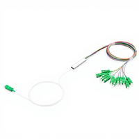 Paket Baja Presisi Tinggi Fiber Optic PLC Splitter Konektor SC Komponen Distribusi Optik untuk Tugas Transmisi Jaringan
