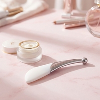 Bâton de massage oculaire en métal, brosse à masque facial en silicone, outil de beauté portable pour la maison et le salon