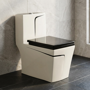 WC monobloc en céramique diamantée à double chasse, à poser au sol, pour projets d'appartements, fabriqué en Inde - Product Image 2