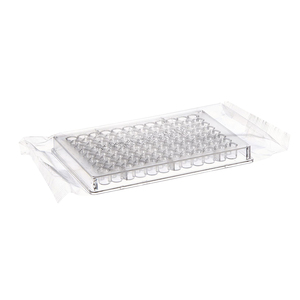 Microplates <span class=keywords><strong>6</strong></span> 12 24 48 96 Lubang Lubang Jaringan <span class=keywords><strong>Cell</strong></span> <span class=keywords><strong>Culture</strong></span> <span class=keywords><strong>Plate</strong></span> dengan TC Diobati - Product Image 6
