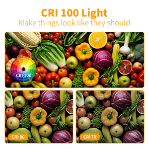 Paquete de 5 Bombillas Halógenas J118 R7S de <span class=keywords><strong>500W</strong></span>, Doble Extremo, Regulables, para Trabajo, Seguridad, Iluminación de Jardines, Lámparas de Pie - Product Image 3