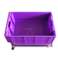 Caisse de stockage de tomates empilable de 50 kg en maille HDPE vierge recyclable