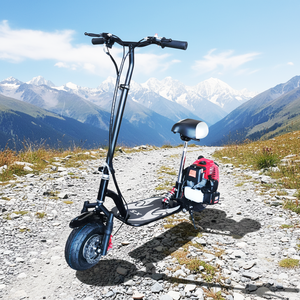 Patineta de <span class=keywords><strong>Gasolina</strong></span> Barata de 49cc/63cc en Venta, <span class=keywords><strong>Mini</strong></span> <span class=keywords><strong>Scooter</strong></span> de <span class=keywords><strong>Gasolina</strong></span> de <span class=keywords><strong>50cc</strong></span> para Adultos - Product Image 3