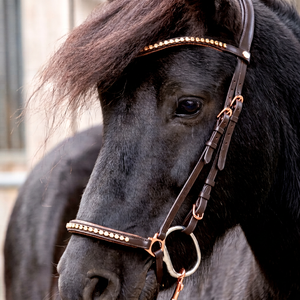 Bridon en cuir anglais classique avec clous de haute qualité, fournisseur en gros d'équipements équestres de Divine International - Product Image 1
