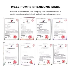 Mini-pompe à eau de surface série SN <span class=keywords><strong>QB</strong></span> pour l'irrigation, pompe de surpression pour usage domestique, personnalisable OEM - Product Image 6