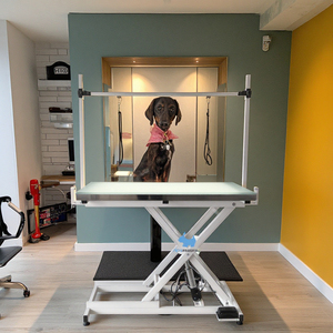 Elektrischer LED-Licht-Hundetisch, Höhenverstellbar, Hydraulisch, Klappbar, Groß, Beleuchtet, Für Tierpflege, Hunde, Edelstahl - Product Image 1