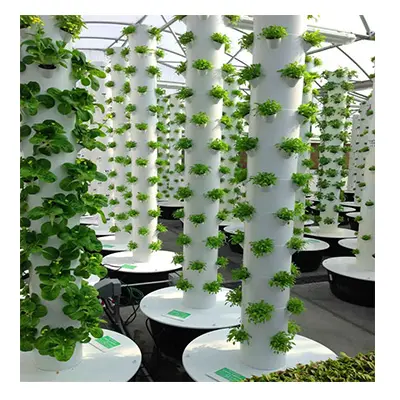 Hochwertiges Gartenturm-Hydro ponik system Vertikales Aquaponik-Anbaus ystem für Gemüse