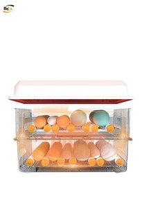 Công suất nhỏ nhựa gia cầm trứng lồng ấp và nở máy cho gà chăm sóc Thương hiệu mới - Product Image 4