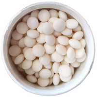 OEM Xylitol Dragees Candy Coated Mints Sugar Free