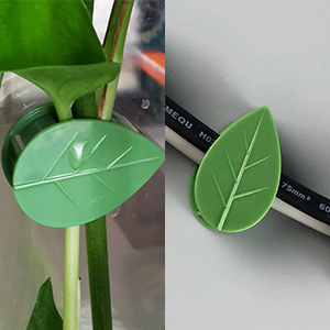 Bâton de <span class=keywords><strong>Support</strong></span> de <span class=keywords><strong>plante</strong></span> pour plantes grimpantes, Clips pour <span class=keywords><strong>plante</strong></span> tomate, crochets muraux décoratifs, Design de feuille, Clips muraux, crochet pour la maison - Product Image 4