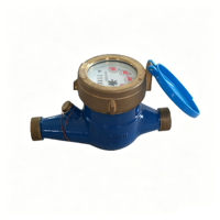 Domestic Multi-Jet Digital Water Meter IP65 Protection Threaded Connection Stainless Steel Construction 2-Year Warranty Water