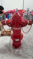 Hydrant d'incendie à poteau en fonte ductile DN100, norme indonésienne, à commande manuelle, pour l'extérieur, avec vanne d'alimentation en eau pour la lutte contre les incendies