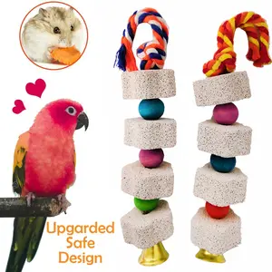 Wholesale New Design Safe Non-Toxic Calcium Supplement Molar Toy Latest <strong>Little</strong> <strong>Live</strong> <strong>Pets</strong> <strong>Bird</strong> Hamster Squirrel-Sustainable - Product Image 1