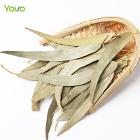 Daun Eucalyptus Kering Grosir Pabrik, Daun Eucalyptus Panjang Kering untuk Dekorasi, Pembuatan Lilin, Kerajinan Tangan, Bahan DIY