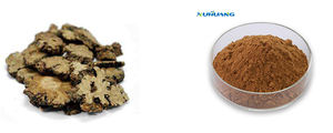 Оптовая продажа чистого натурального экстракта травы чуаньсионга (лигустикума) в порошке - Product Image 2