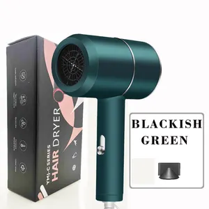 Salon One-Step Hair Dryer And Volumizer Private Label Hair Dryer Hair Blow Dryer