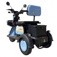 China Factory Cheap Drum Brake Electric Quad Atvs for Adults Tricycle