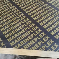 Contreplaqué filmé noir 18 mm 2440x1220 mm, âme en eucalyptus, peuplier et pin, surface lisse, réutilisable pour coffrage de béton