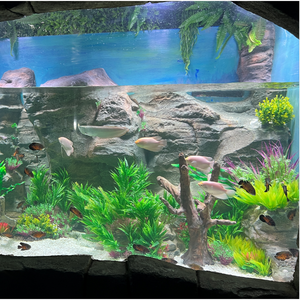 ตู้ปลาเต่าขนาดใหญ่ - Product Image 3