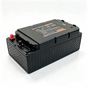 60V 50Ah Lithium-ijzerfosfaat (LiFePO4) accu met slimme BMS, geschikt als deep-cycle accu voor 2-wielige en 3-wielige elektrische voertuigen - Product Image 3