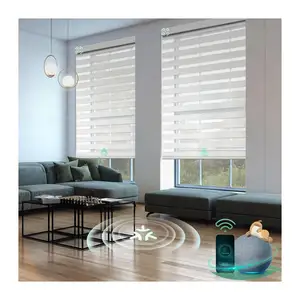Modern Design Free-Stop Smart Electric Remote Control Blackout Zebra Shades For Window