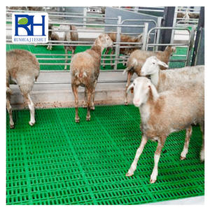 Placas Impermeables y Duraderas para Excrementos <span class=keywords><strong>de</strong></span> Ovejas, Aves y Cerdos, 3 Metros <span class=keywords><strong>de</strong></span> Largo, Material Plástico Puro, Equipo para el Manejo <span class=keywords><strong>de</strong></span> Estiércol - Product Image 1